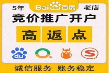 某企业通过SEM运营实现业绩翻倍的秘诀